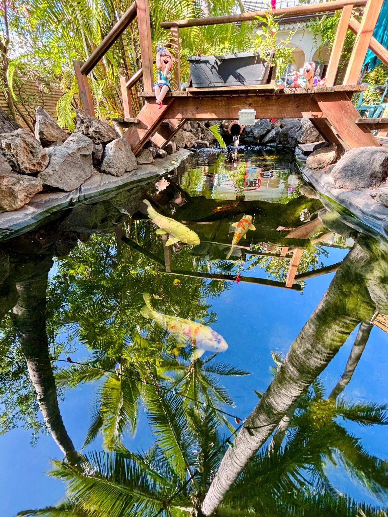 Hotel Coco Island 생질레방 외부 사진
