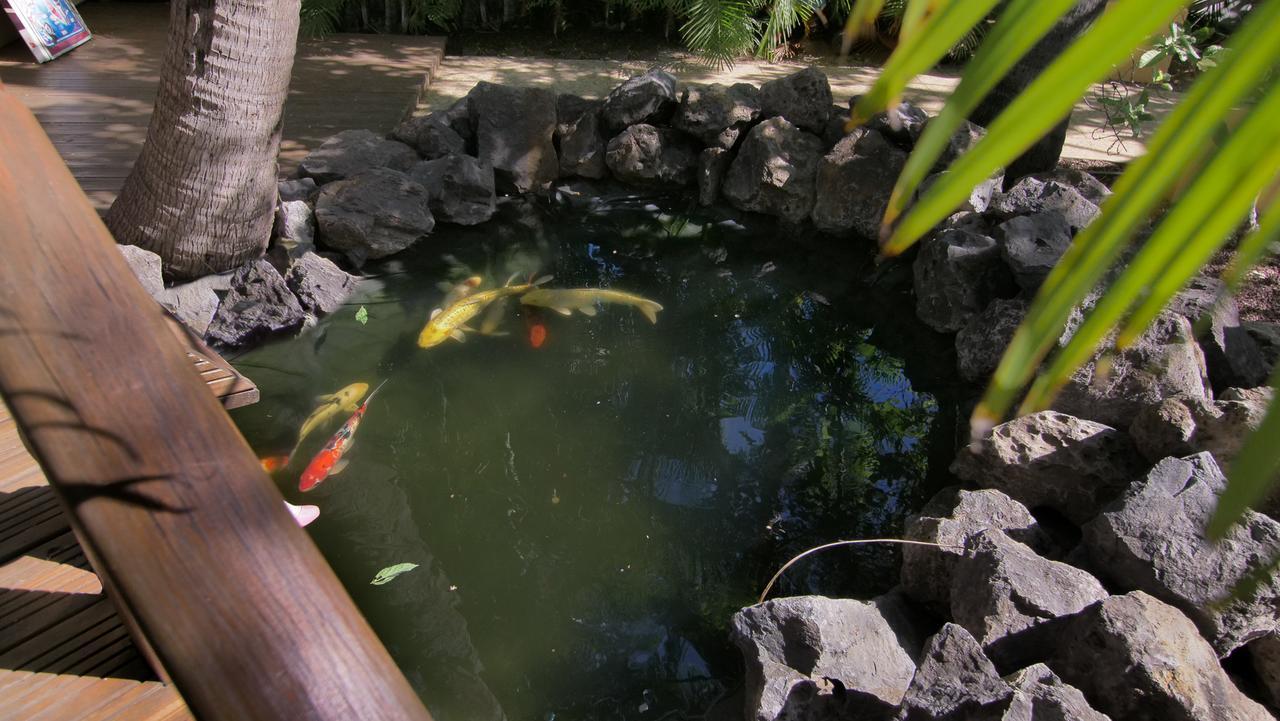 Hotel Coco Island 생질레방 외부 사진